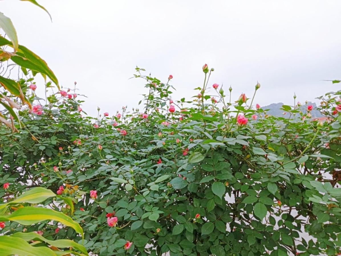 Ninh Binh Green Farmstay La Phu  المظهر الخارجي الصورة