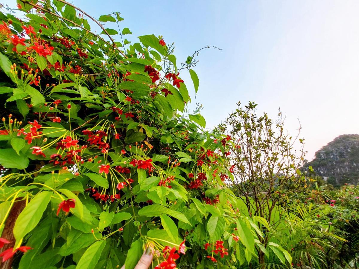 Ninh Binh Green Farmstay La Phu  المظهر الخارجي الصورة