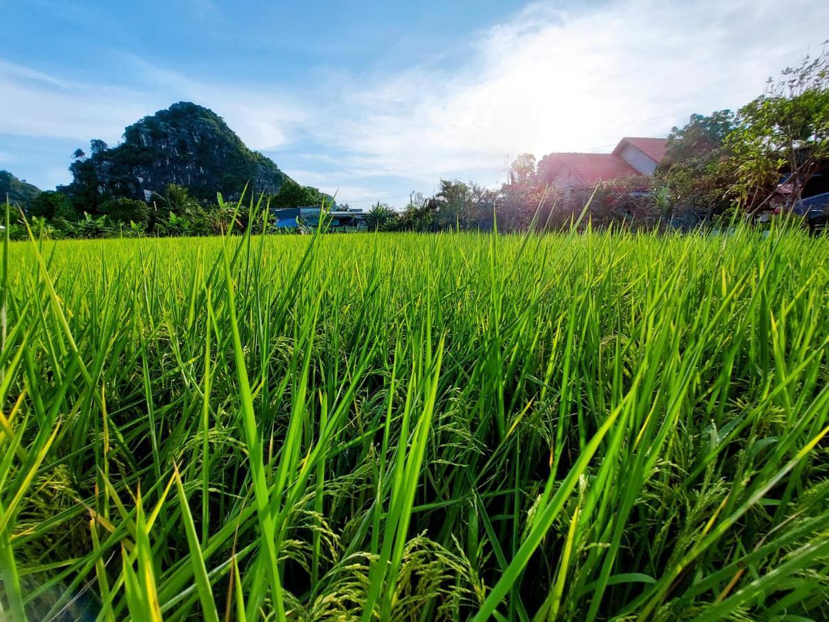 Ninh Binh Green Farmstay La Phu  المظهر الخارجي الصورة